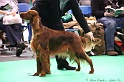 Crufts2011 307